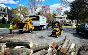 Best Tree Cabling and Bracing  in Point Lookout, NY